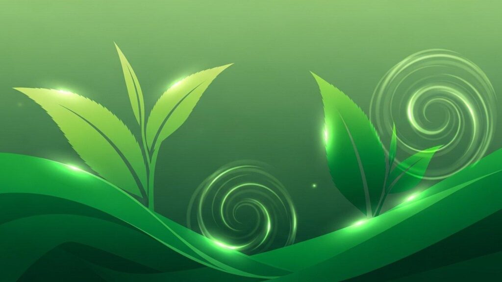 poleznye svojstva zelenogo chaja mify i real nost 2