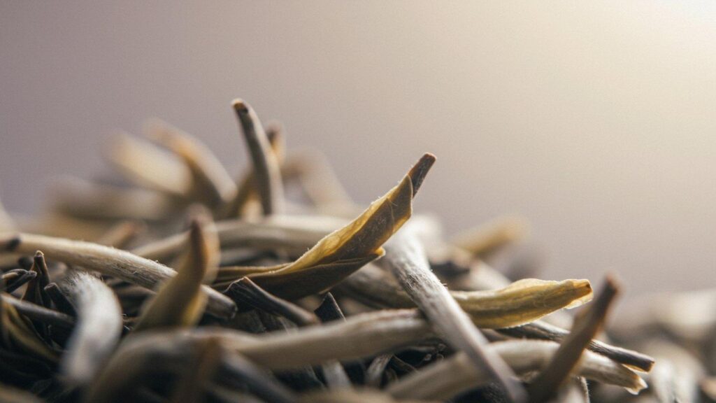 raznovidnosti belogo chaja baj hao juj silver needle i drugie 2